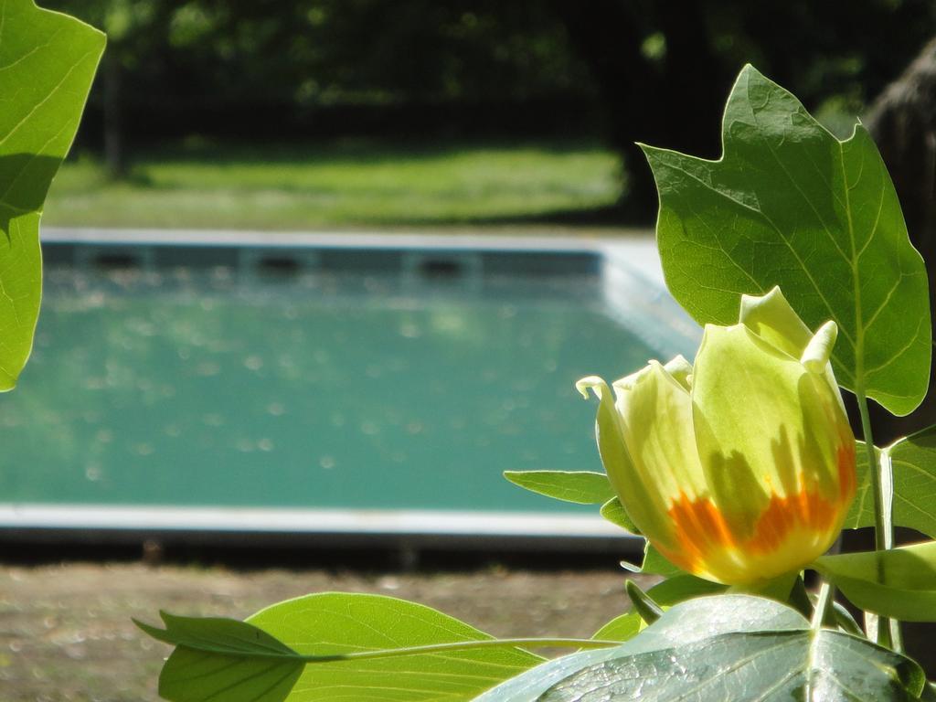 La Rebiere D'Or, B&B Et Gite Mouleydier ภายนอก รูปภาพ